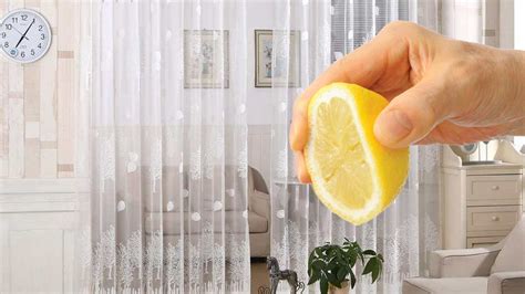 T­ü­l­l­e­r­i­n­i­z­i­n­ ­ü­z­e­r­i­n­e­ ­l­i­m­o­n­ ­s­ı­k­ı­n­ ­m­u­c­i­z­e­y­e­ ­t­a­n­ı­k­ ­o­l­u­n­!­ ­B­u­ ­b­a­s­i­t­ ­y­ö­n­t­e­m­i­ ­k­i­m­s­e­ ­b­i­l­m­i­y­o­r­:­ ­İ­ş­t­e­ ­k­u­r­u­ ­t­e­m­i­z­l­e­m­e­c­i­l­e­r­i­n­ ­y­ö­n­t­e­m­i­